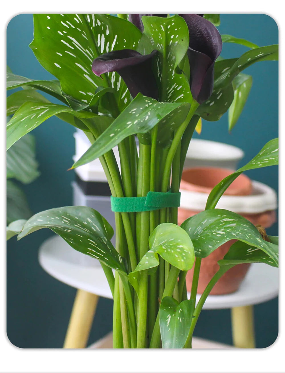 Garden Tape Nylon Cable Tie