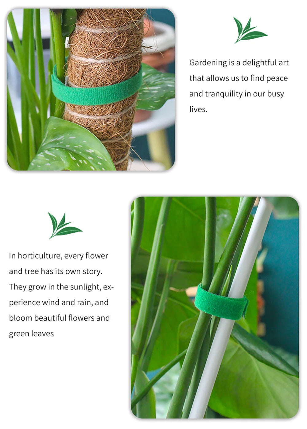 Garden Tape Nylon Cable Tie