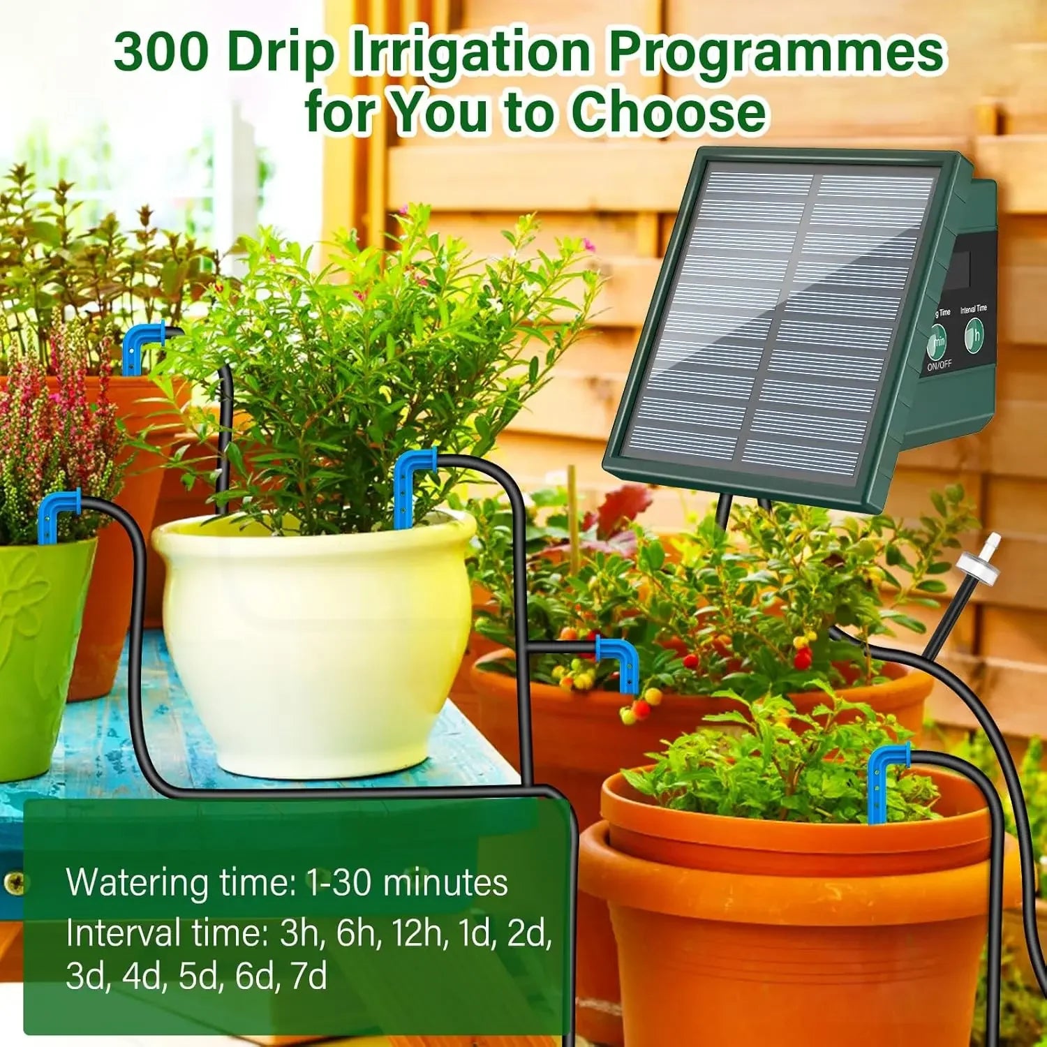Solar Irrigation System