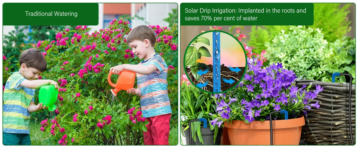 Solar Irrigation System