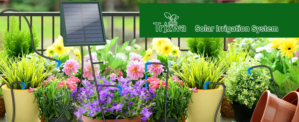 Solar Irrigation System