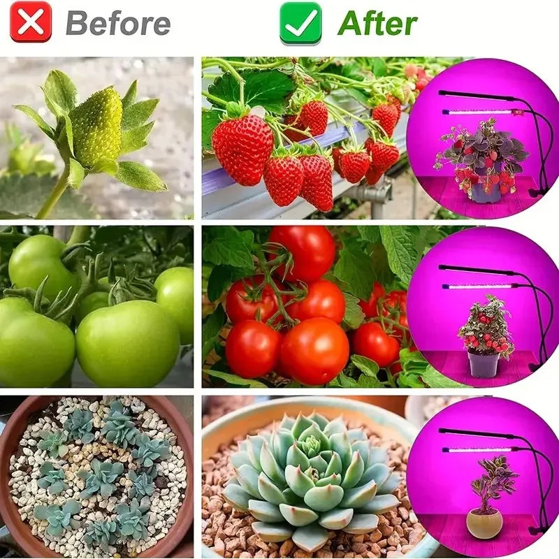 USB LED Plant Grow Light 3H/9H/12H