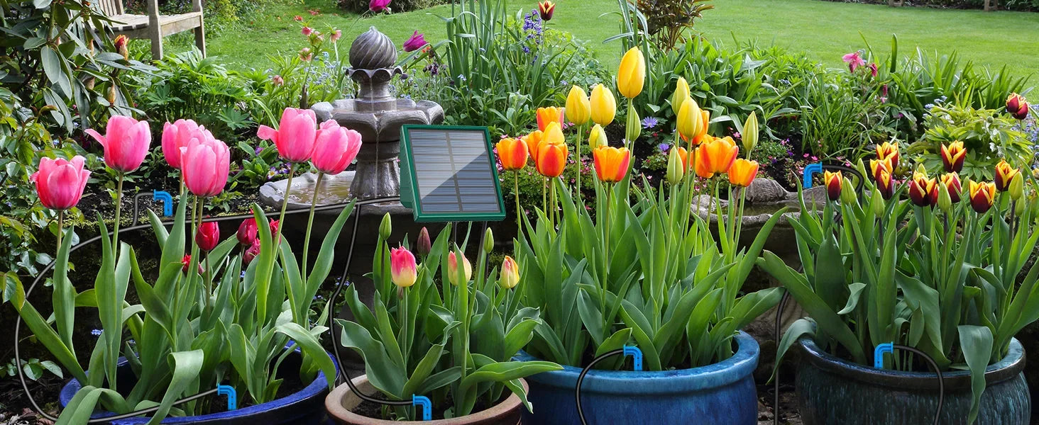 Solar Irrigation System