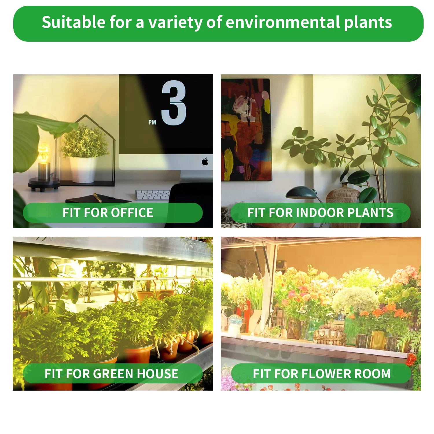 USB LED Plant Grow Light 3H/9H/12H