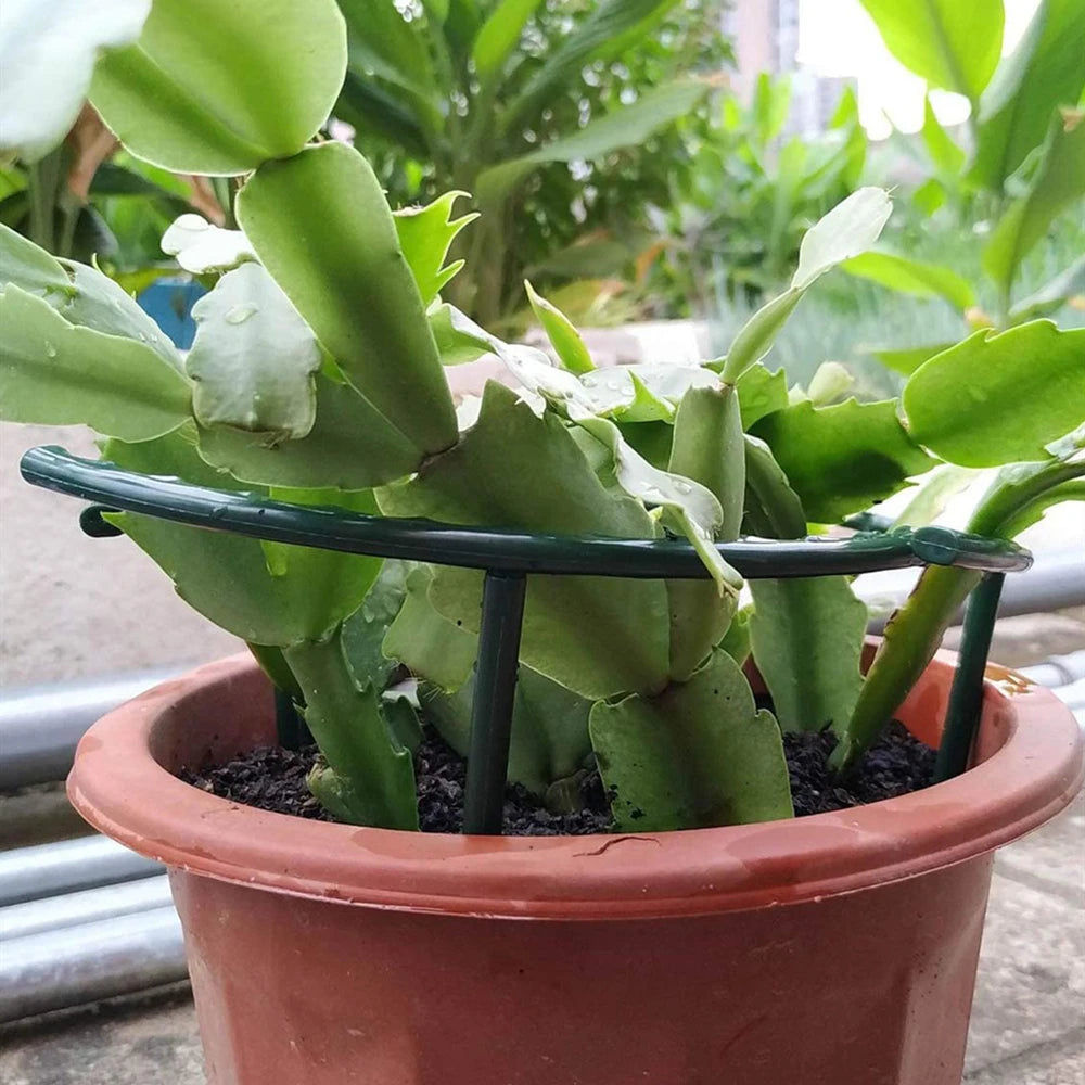 8PCS Plastic Plant Support Pile Frame
